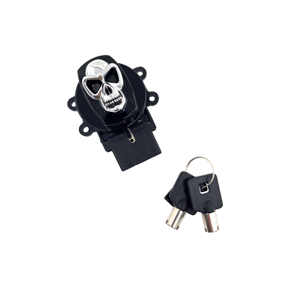 Gzp Blk Skull Ignition Switch F*St96 10 Ignition Switch Zodiac Default Title
