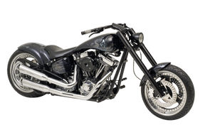 Fat Tube Rsd Swingarm (28mm) W/Plate Swingarm & Wide Tire Kit Zodiac