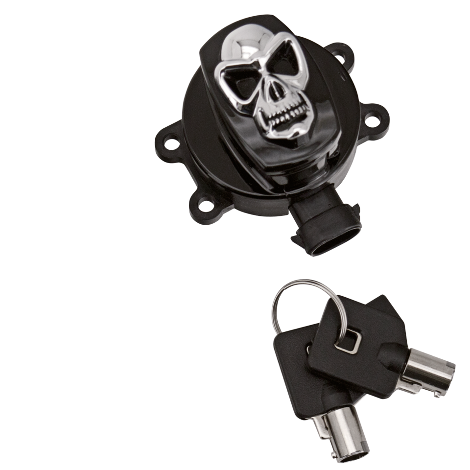Gzp Blk Skull Ignition Switch F*St11 17 Ignition Switches Zodiac Default Title