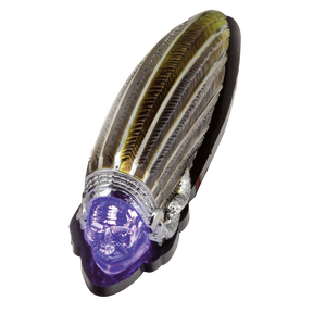 Gzp Gold Indian Fender Light Blue Led Fender Tip Light Zodiac Default Title