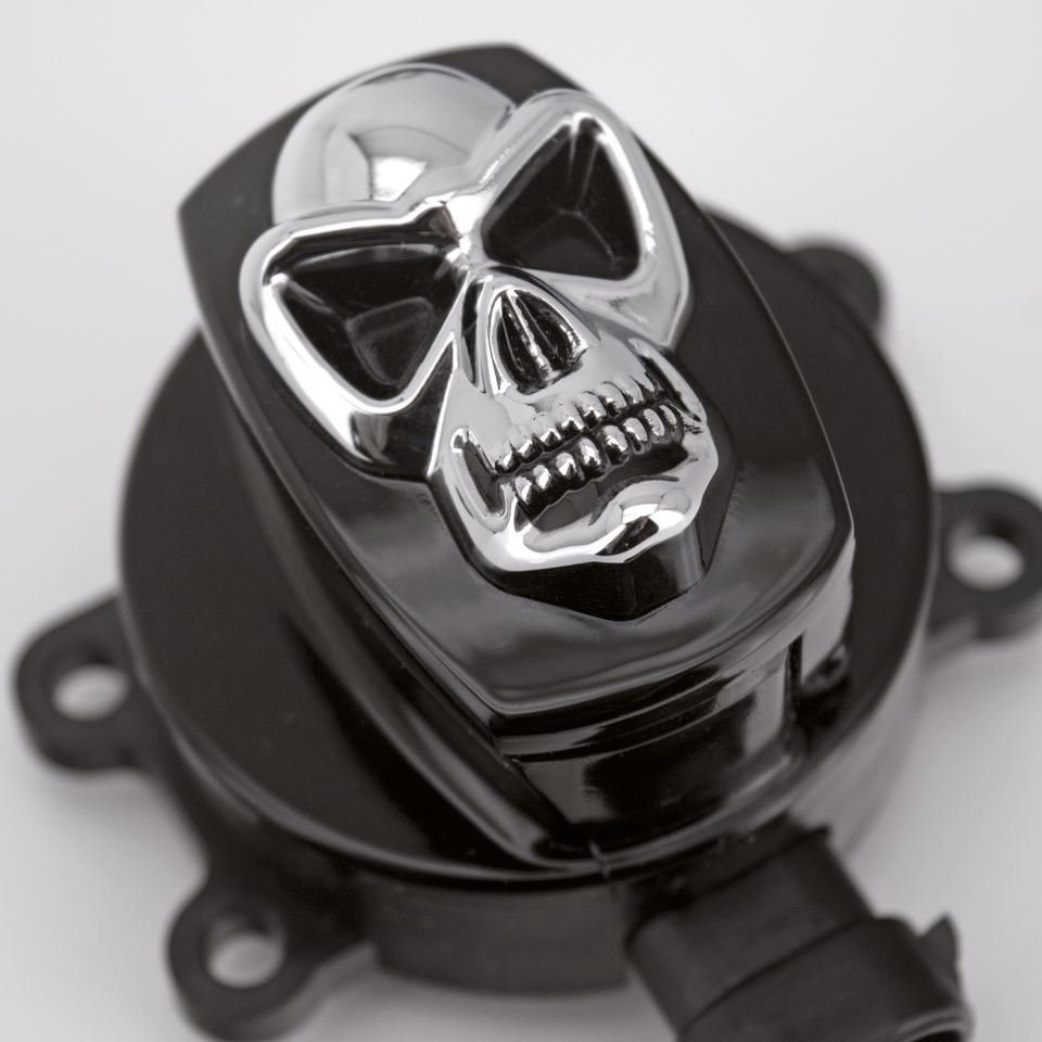 Gzp Blk Skull Ignition Switch F*St11 17 Ignition Switches Zodiac